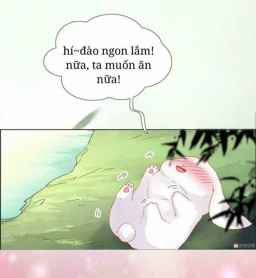 Phi Thiên Địch Tự Dưỡng Đích Khẩu Tử Chapter 2 trang 3