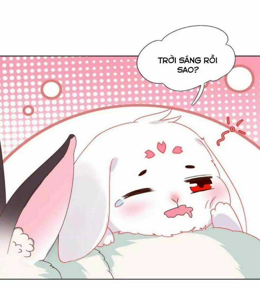 Phi Thiên Địch Tự Dưỡng Đích Khẩu Tử Chapter 21 trang 12