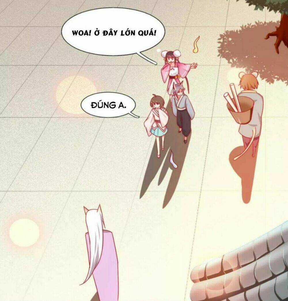 Phi Thiên Địch Tự Dưỡng Đích Khẩu Tử Chapter 23 trang 2