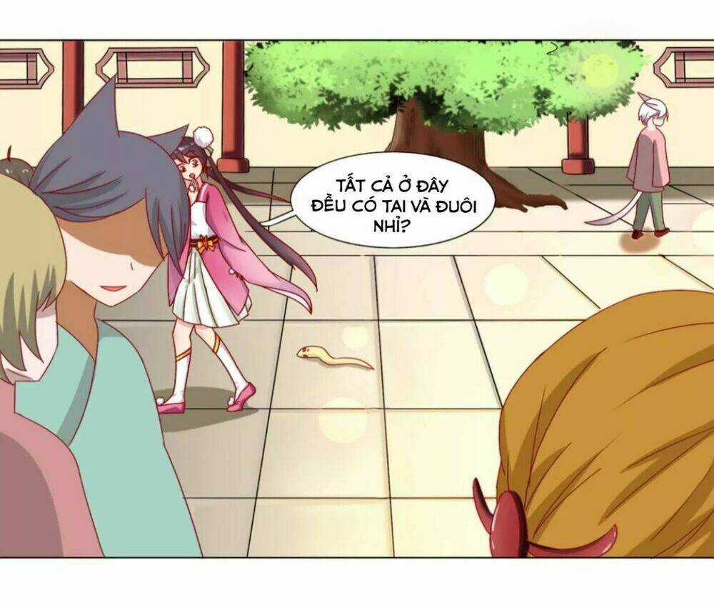 Phi Thiên Địch Tự Dưỡng Đích Khẩu Tử Chapter 23 trang 3