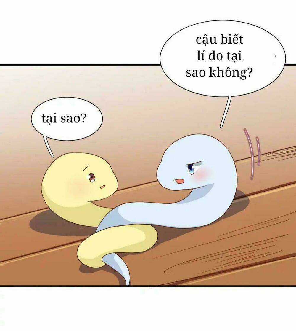 Phi Thiên Địch Tự Dưỡng Đích Khẩu Tử Chapter 25 trang 4