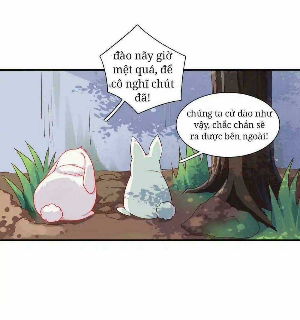 Phi Thiên Địch Tự Dưỡng Đích Khẩu Tử Chapter 25 trang 8