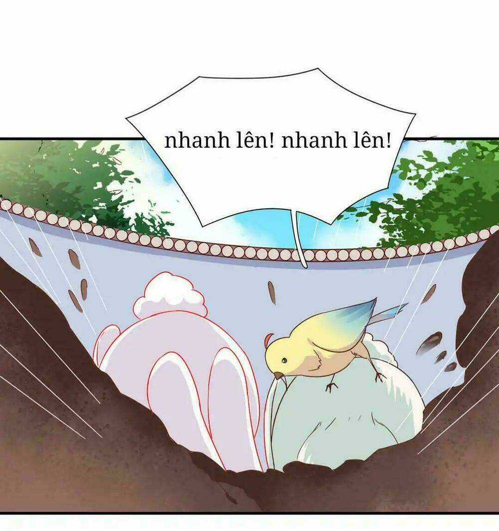 Phi Thiên Địch Tự Dưỡng Đích Khẩu Tử Chapter 25 trang 9