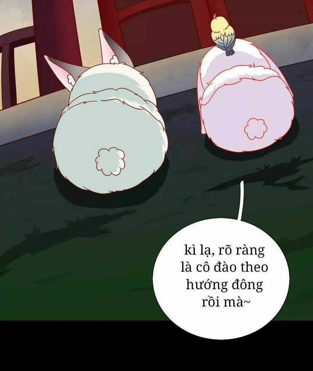 Phi Thiên Địch Tự Dưỡng Đích Khẩu Tử Chapter 26 trang 10