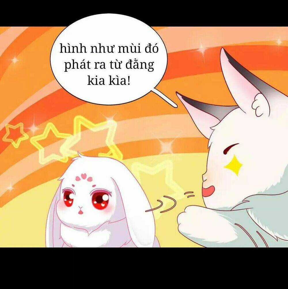 Phi Thiên Địch Tự Dưỡng Đích Khẩu Tử Chapter 26 trang 19