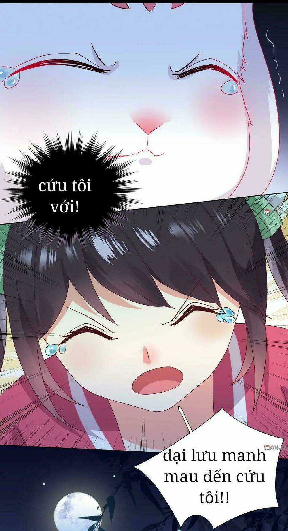 Phi Thiên Địch Tự Dưỡng Đích Khẩu Tử Chapter 28 trang 10