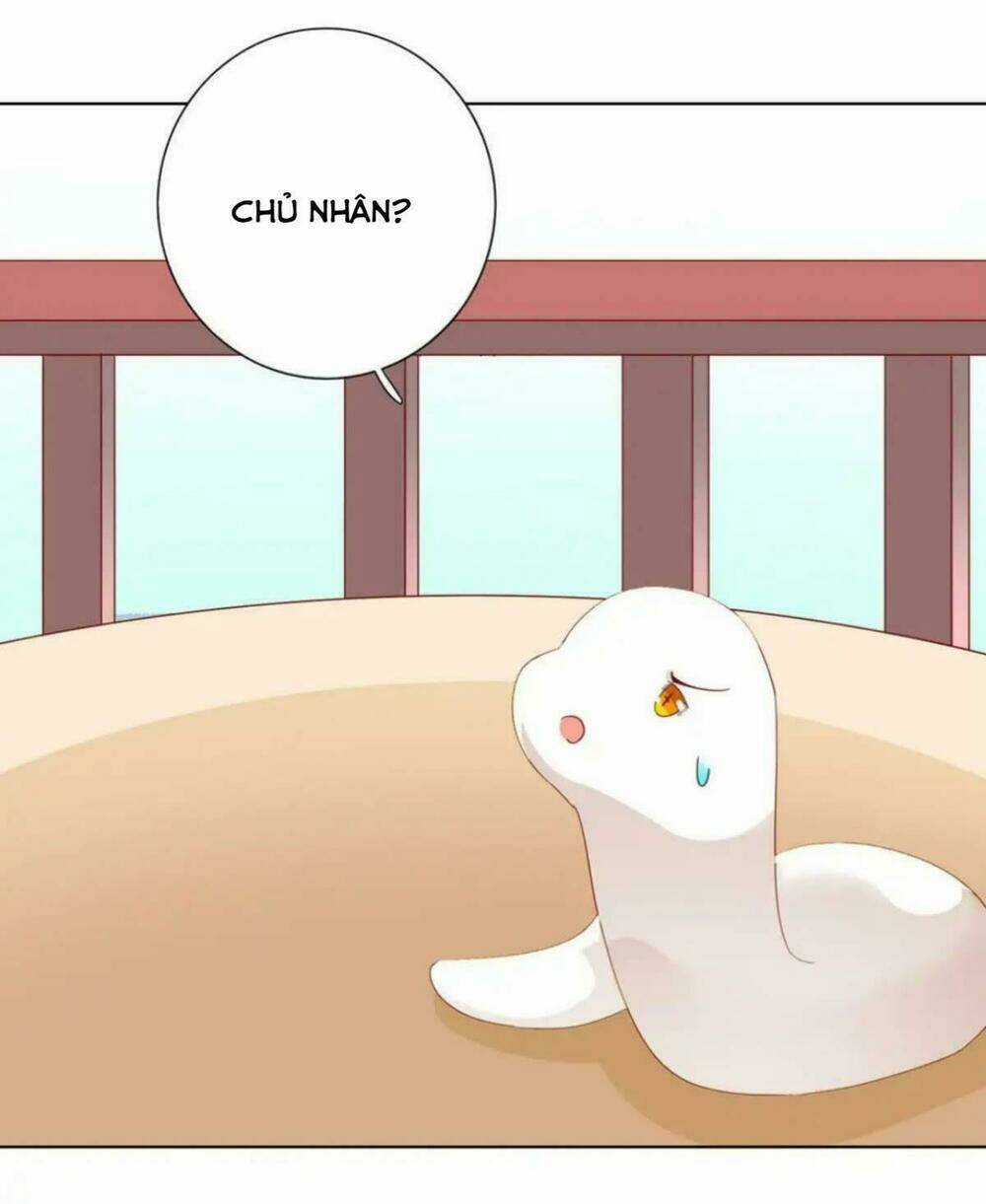 Phi Thiên Địch Tự Dưỡng Đích Khẩu Tử Chapter 44 trang 27