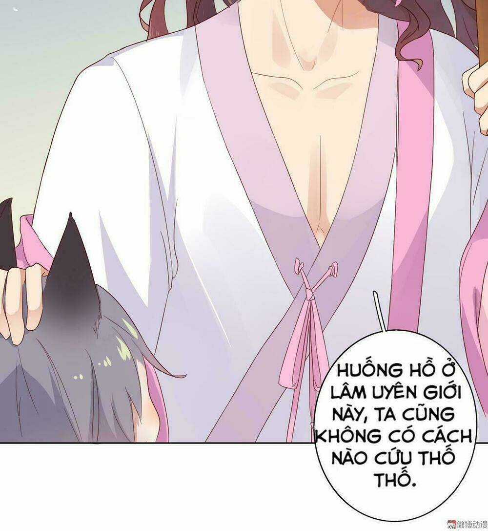 Phi Thiên Địch Tự Dưỡng Đích Khẩu Tử Chapter 45 trang 11