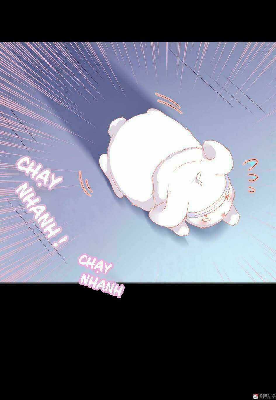 Phi Thiên Địch Tự Dưỡng Đích Khẩu Tử Chapter 46 trang 19