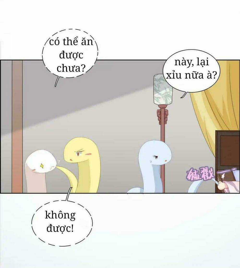 Phi Thiên Địch Tự Dưỡng Đích Khẩu Tử Chapter 5 trang 2