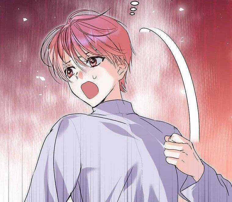 Phía Sau Mặt Nạ Của Nam Chính Hiền Lành Chương 2 trang 13