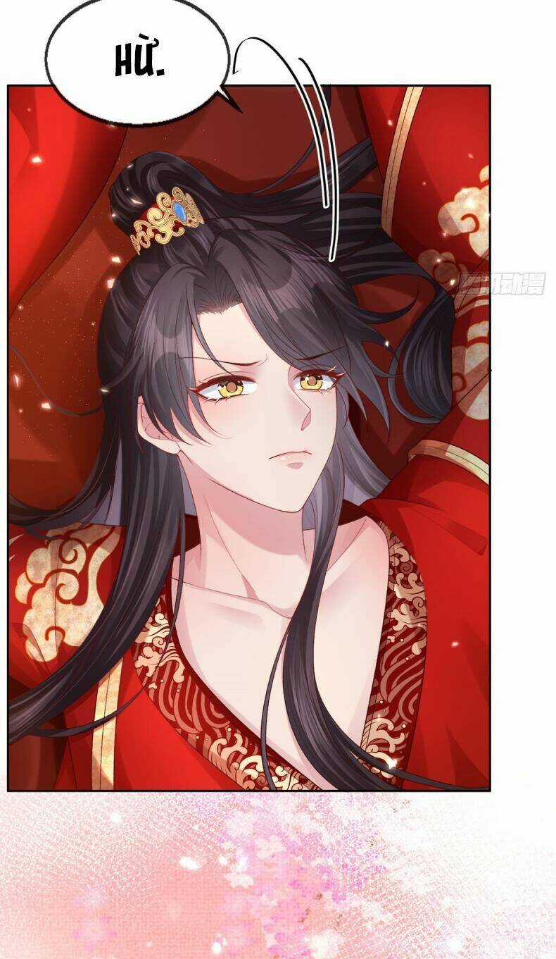 Phò Mã Hôm Nay Cũng Muốn Phản Công Chapter 1 trang 16