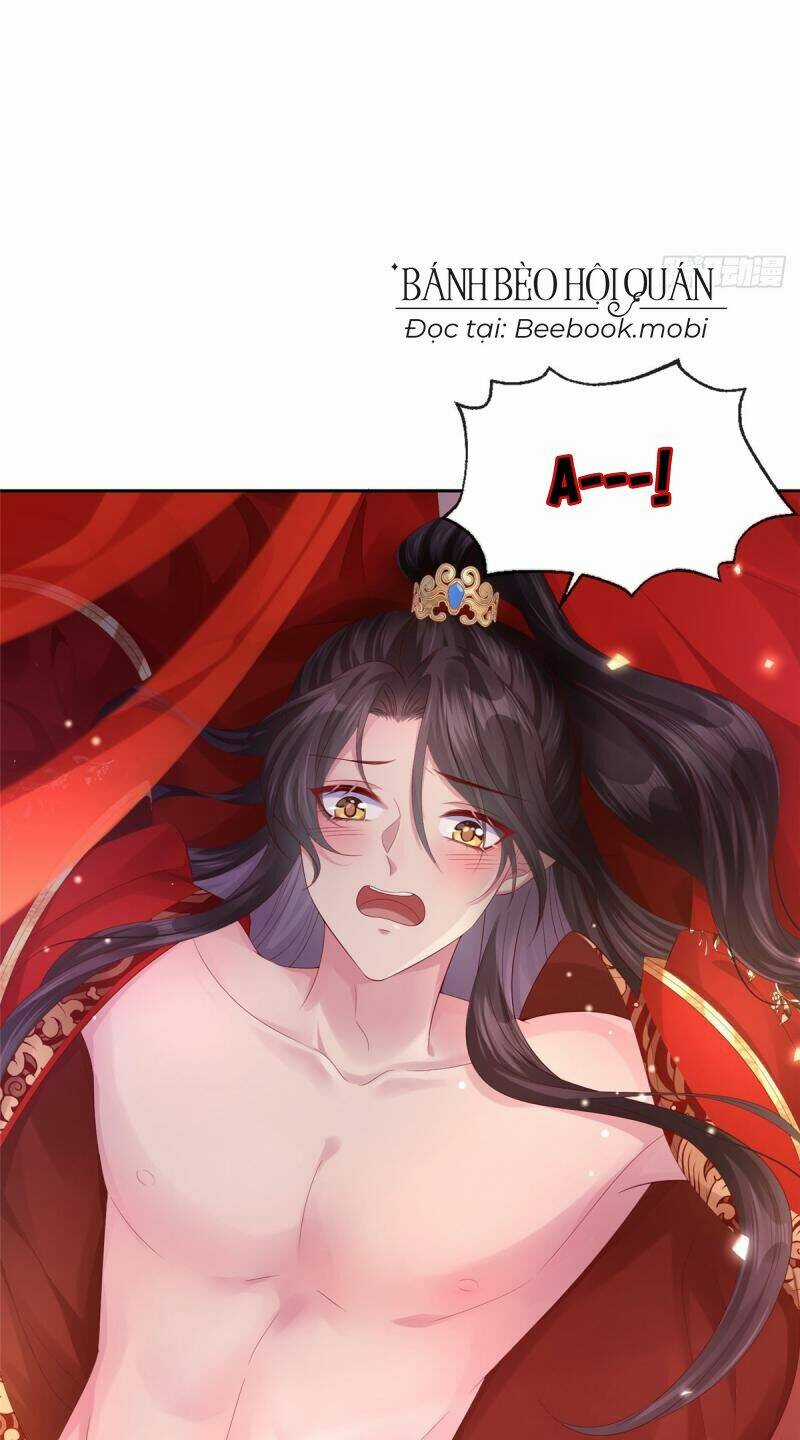 Phò Mã Hôm Nay Cũng Muốn Phản Công Chapter 1 trang 26