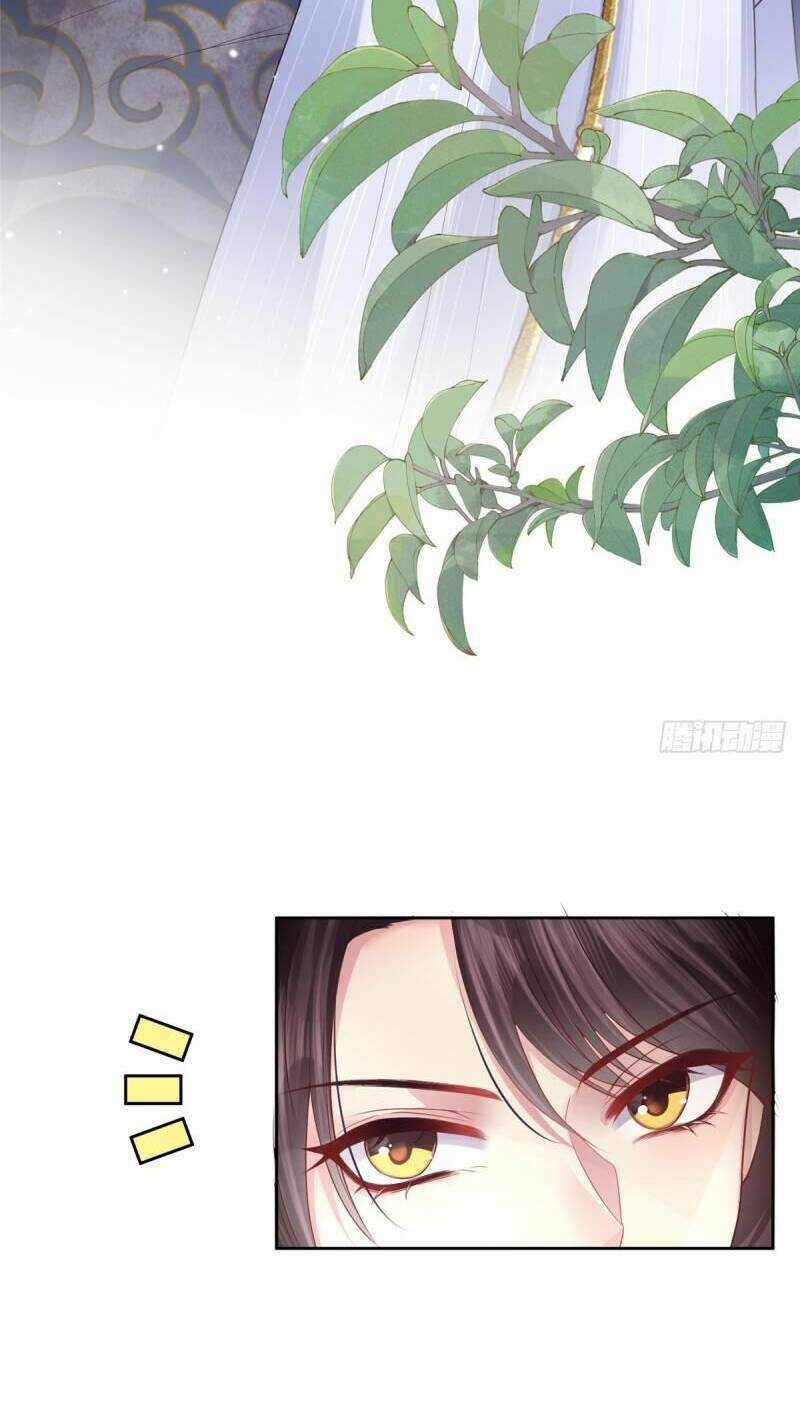 Phò Mã Hôm Nay Cũng Muốn Phản Công Chapter 2 trang 6