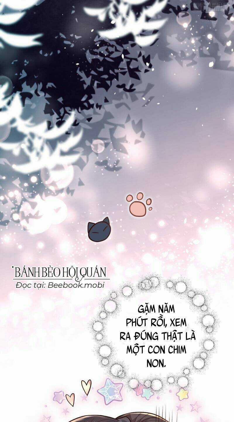 Phò Mã Hôm Nay Cũng Muốn Phản Công Chapter 24 trang 6