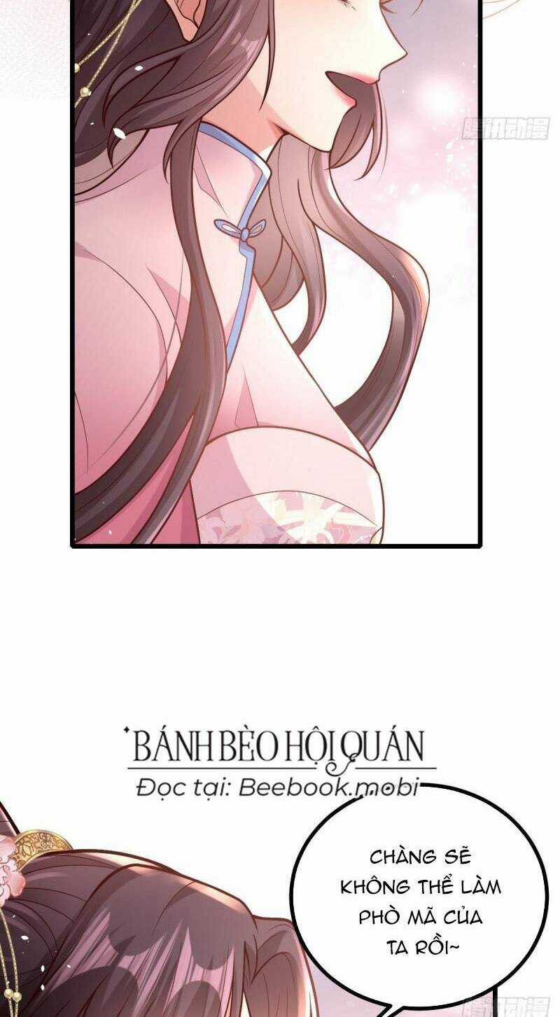 Phò Mã Hôm Nay Cũng Muốn Phản Công Chapter 32 trang 48