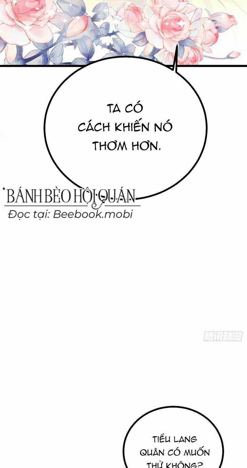 Phò Mã Hôm Nay Cũng Muốn Phản Công Chapter 34 trang 31