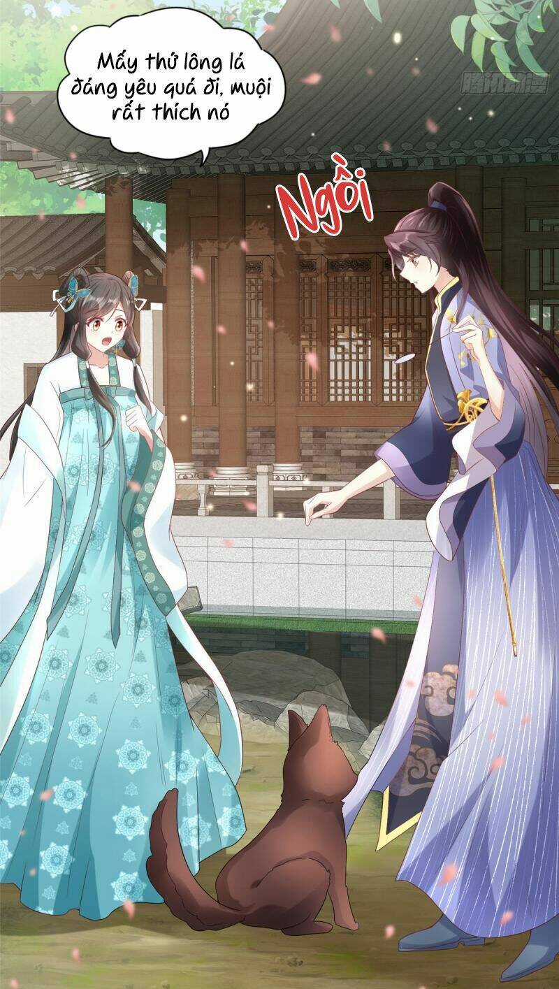 Phò Mã Hôm Nay Cũng Muốn Phản Công Chapter 4 trang 33