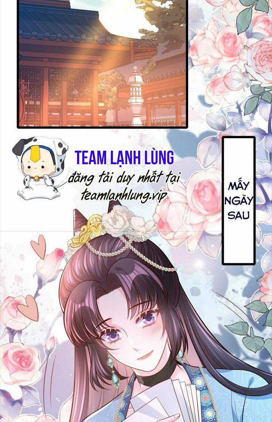 Phò Mã Hôm Nay Cũng Muốn Phản Công Chapter 55 trang 35