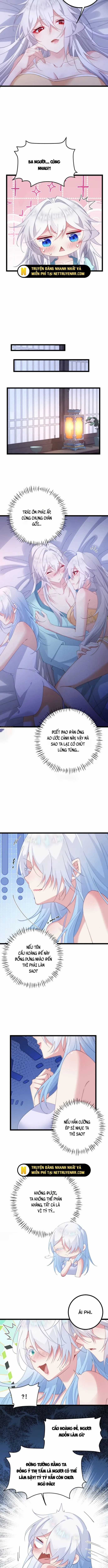 Phơi Bày Thân Phận Nữ Của Hoàng Đế Chương 35 trang 2