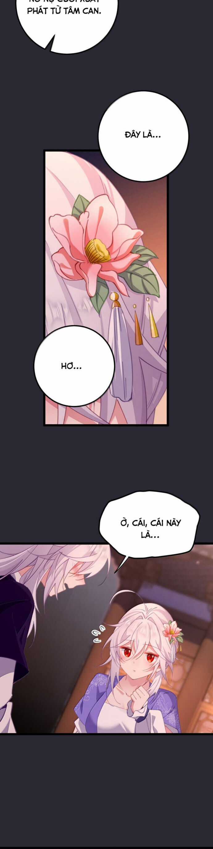 Phơi Bày Thân Phận Nữ Của Hoàng Đế Chương 45 trang 14