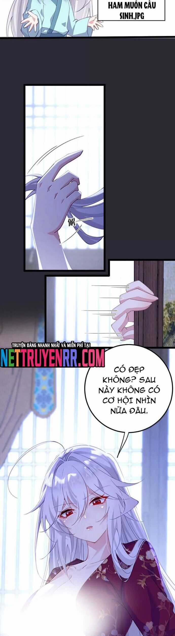 Phơi Bày Thân Phận Nữ Của Hoàng Đế Chương 46 trang 7