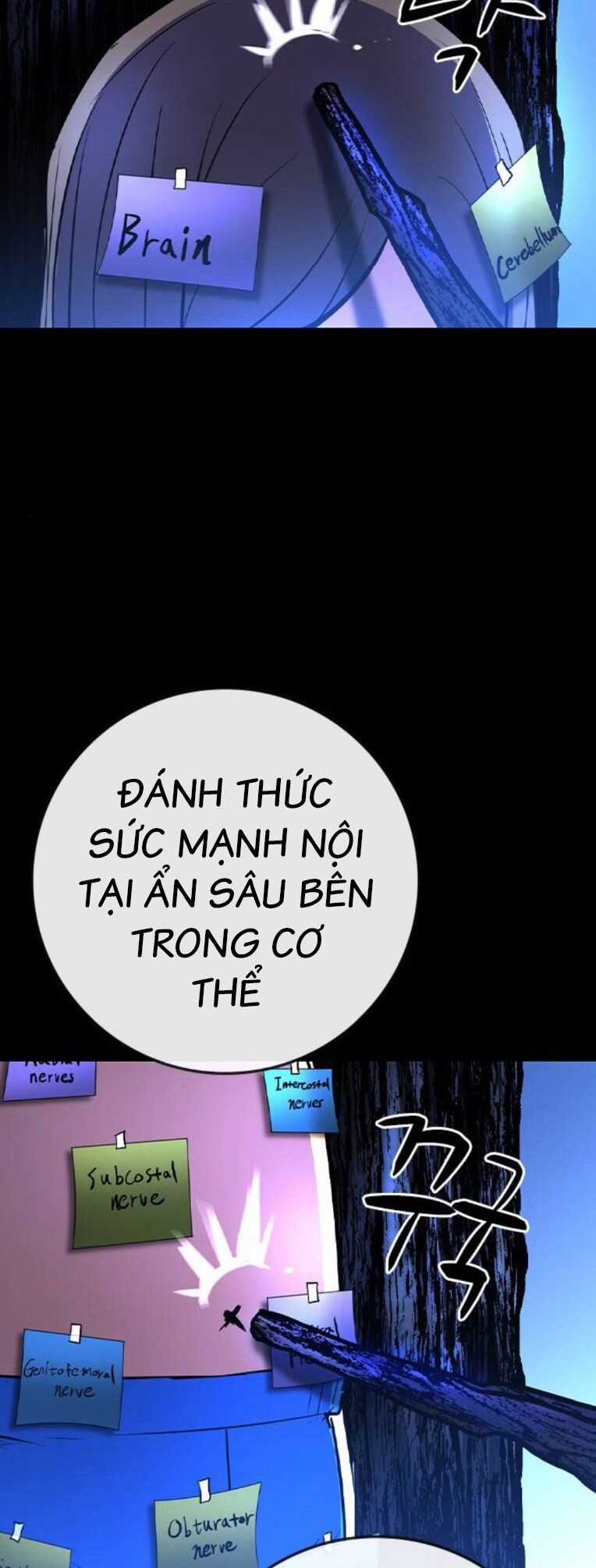 Phòng Gym Hanlim Chương 171 trang 4