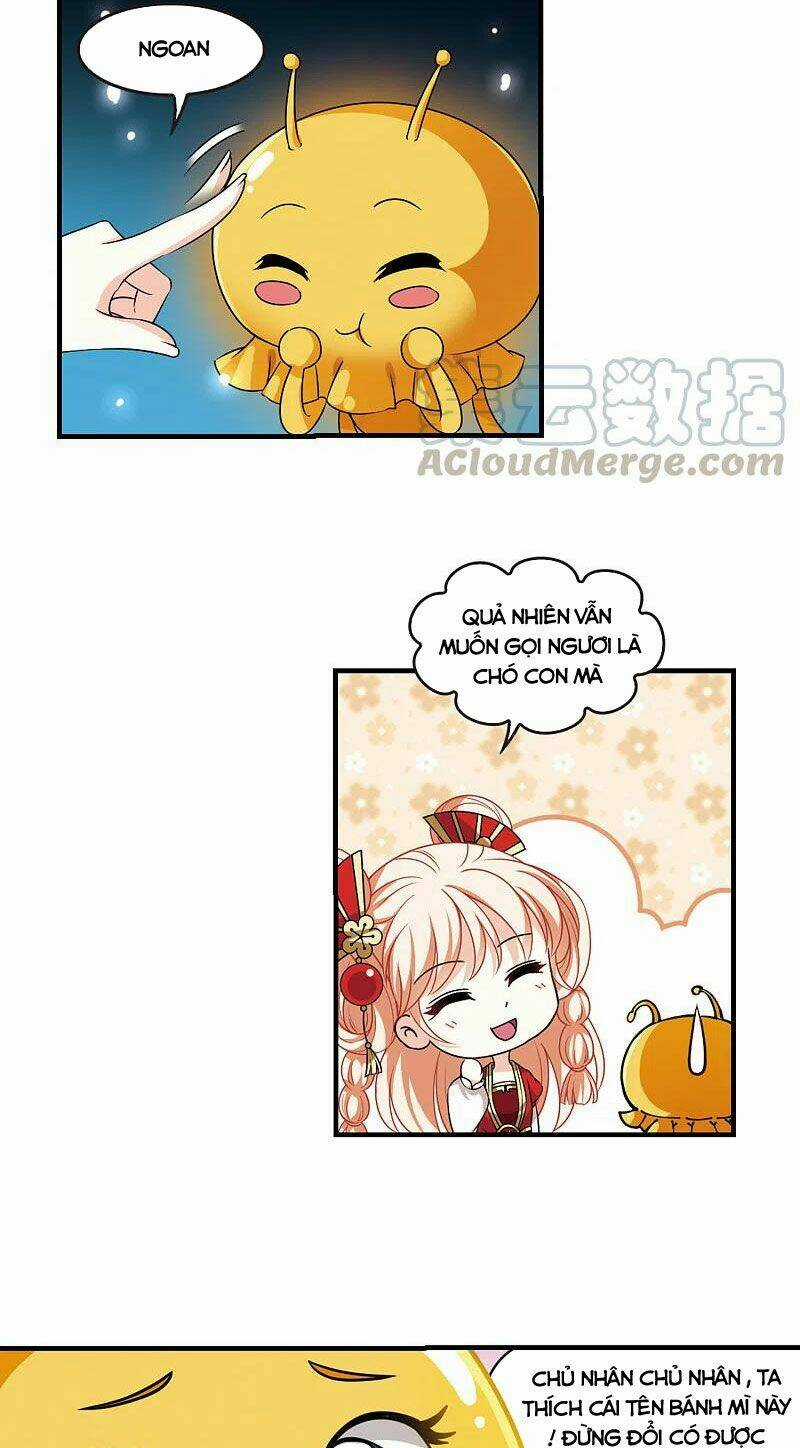 Phong Khởi Thương Lam Chapter 509 trang 4