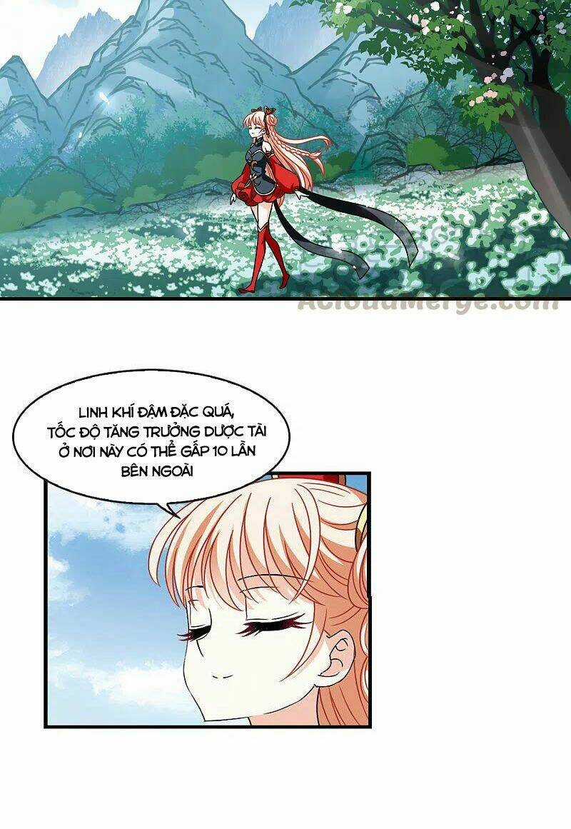 Phong Khởi Thương Lam Chapter 517 trang 17