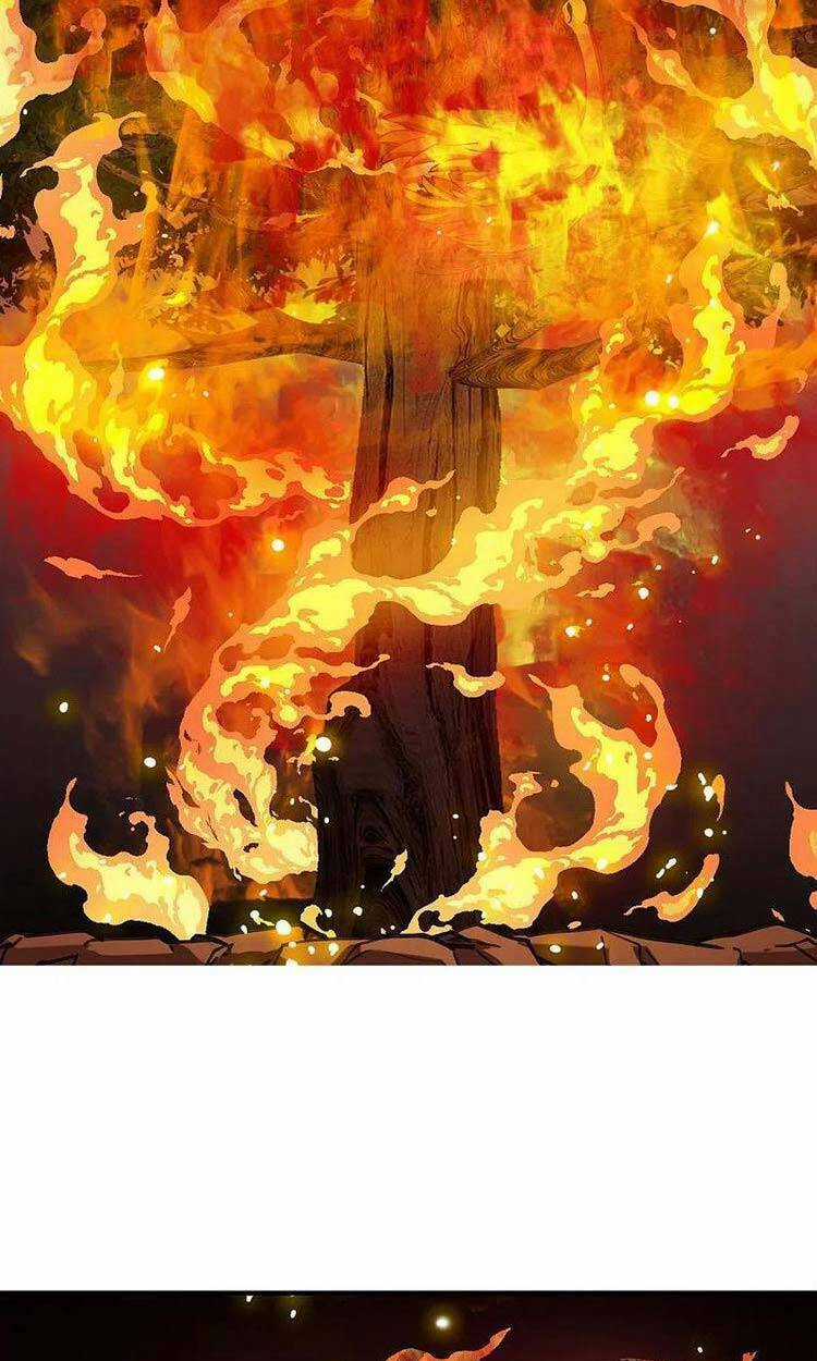 Phong Khởi Thương Lam Chapter 562 trang 15