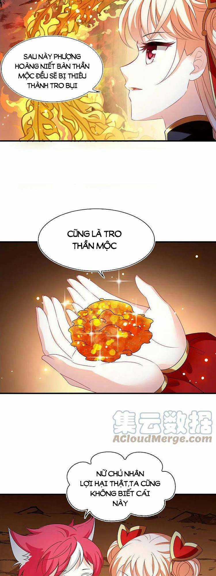 Phong Khởi Thương Lam Chapter 563 trang 1