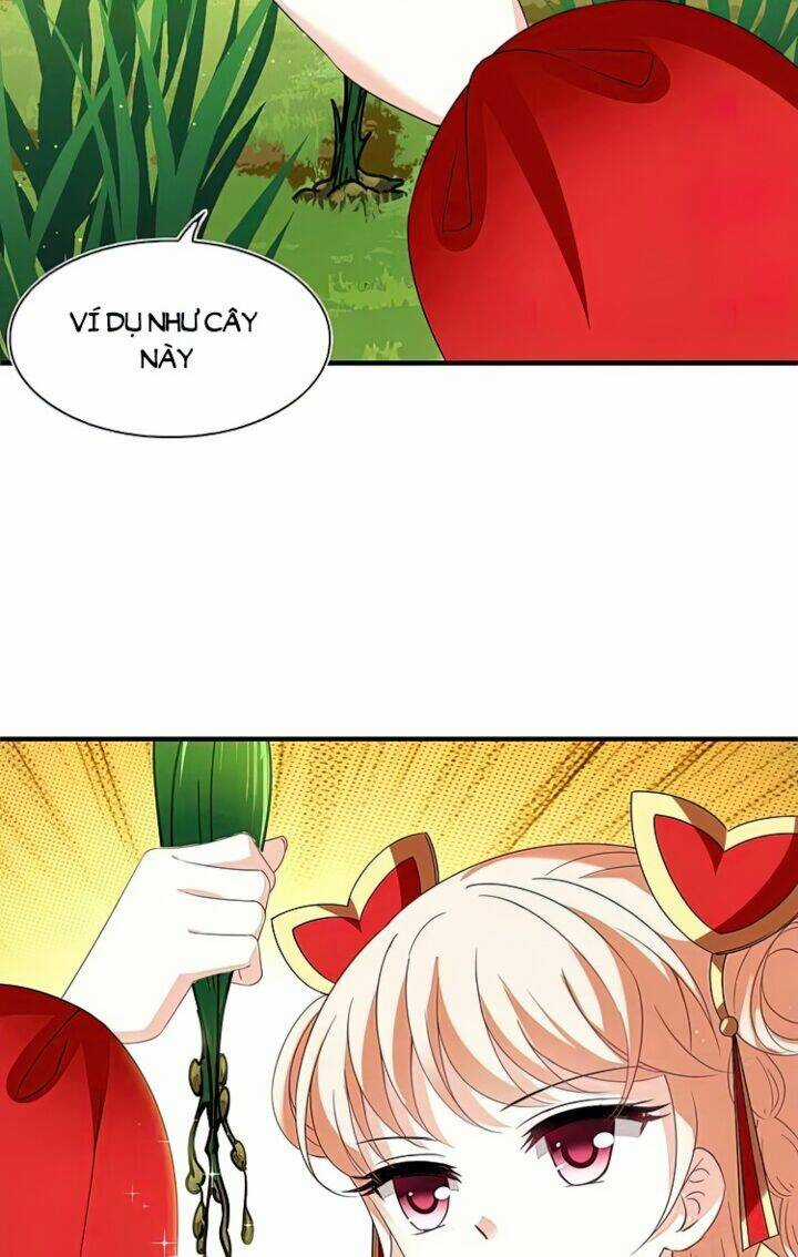 Phong Khởi Thương Lam Chapter 565 trang 13