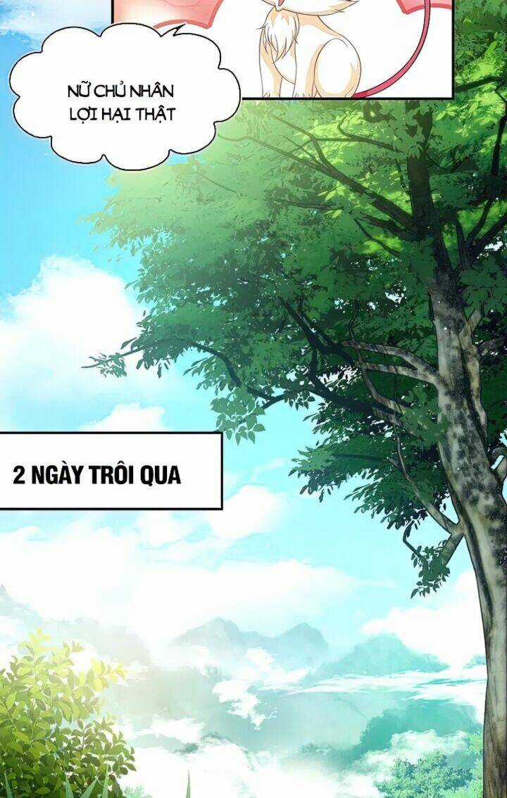 Phong Khởi Thương Lam Chapter 565 trang 17