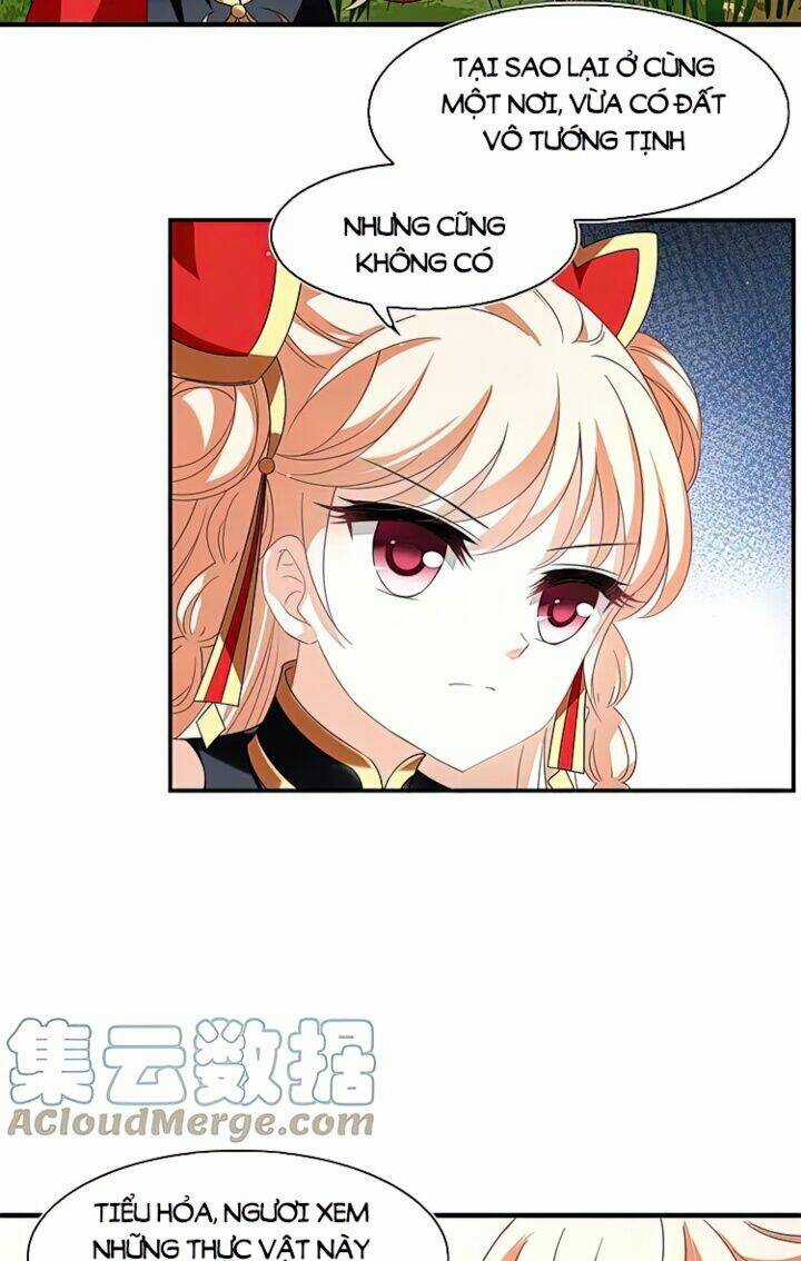 Phong Khởi Thương Lam Chapter 565 trang 8