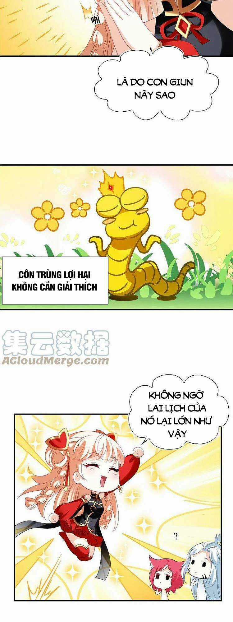 Phong Khởi Thương Lam Chapter 566 trang 14