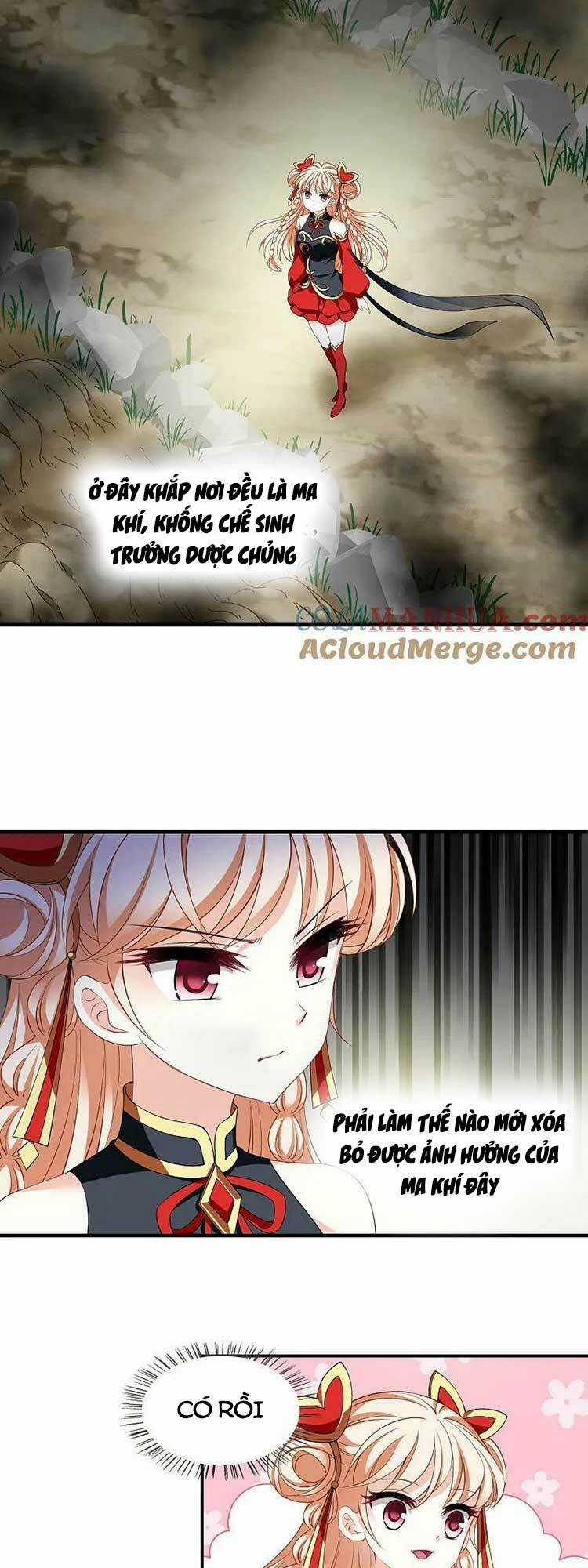 Phong Khởi Thương Lam Chapter 609 trang 3