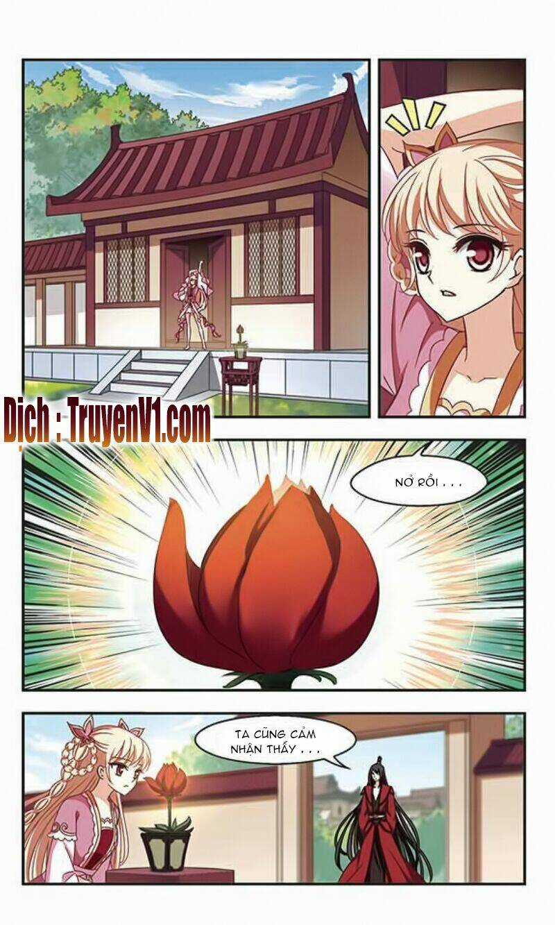 Phong Khởi Thương Lam Chapter 80 trang 5