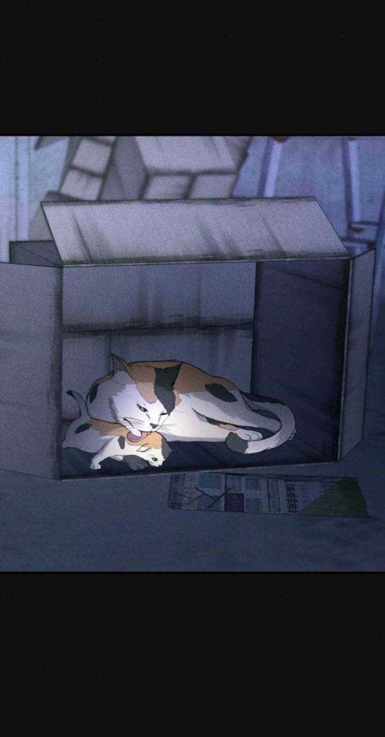 Phòng Kín Chapter 19 trang 3