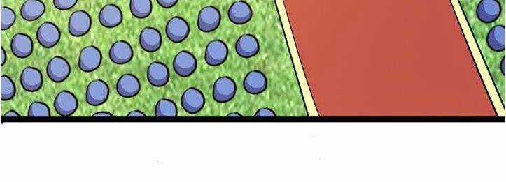 Phong Quỷ Truyền Thuyết Chapter 112 trang 11