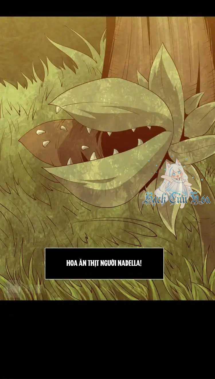 phong toả tuyệt đối Chapter 4 trang 23