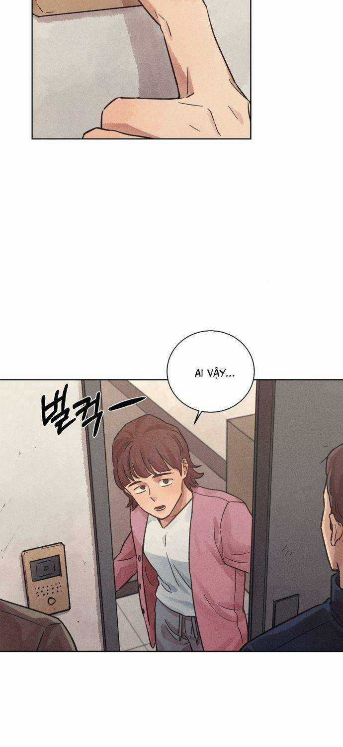 Phỏng Vấn Sát Nhân Chapter 28 trang 19