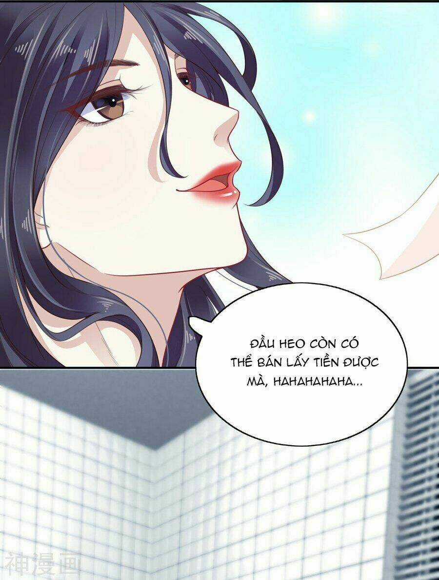 Phú Bà Bạc Tỷ Trong Lãnh Cung Chapter 1 trang 14