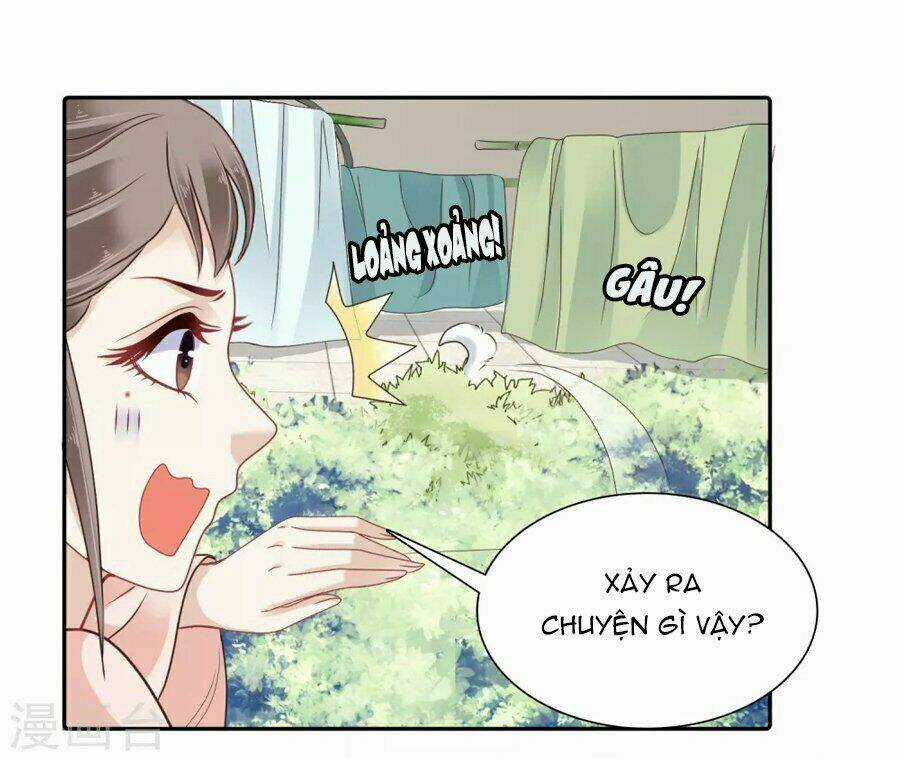 Phú Bà Bạc Tỷ Trong Lãnh Cung Chapter 11 trang 14