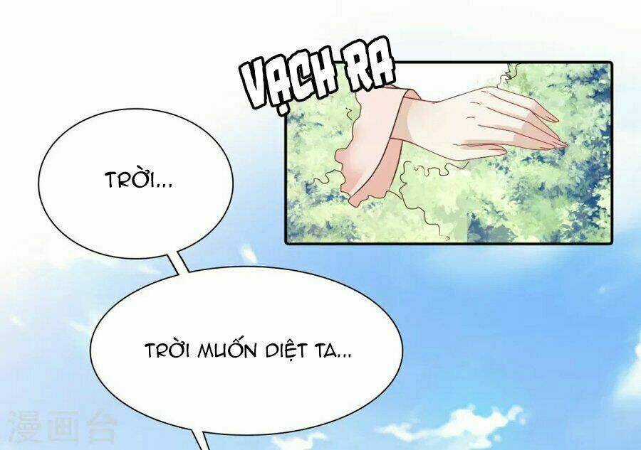 Phú Bà Bạc Tỷ Trong Lãnh Cung Chapter 11 trang 15