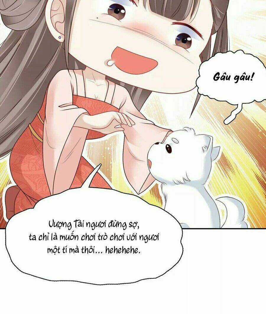 Phú Bà Bạc Tỷ Trong Lãnh Cung Chapter 11 trang 9