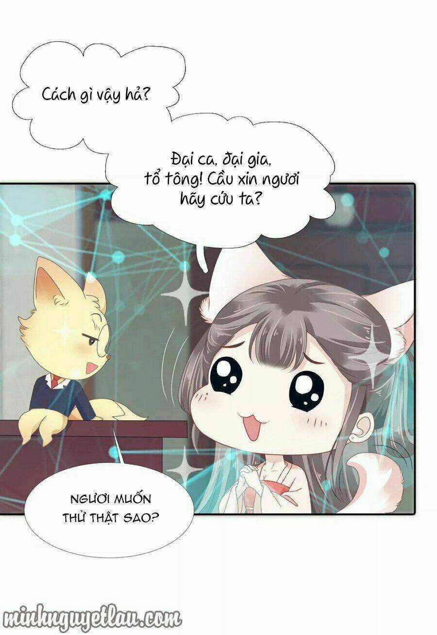 Phú Bà Bạc Tỷ Trong Lãnh Cung Chapter 12 trang 6