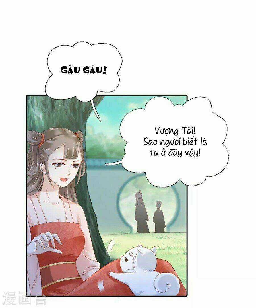 Phú Bà Bạc Tỷ Trong Lãnh Cung Chapter 9 trang 11