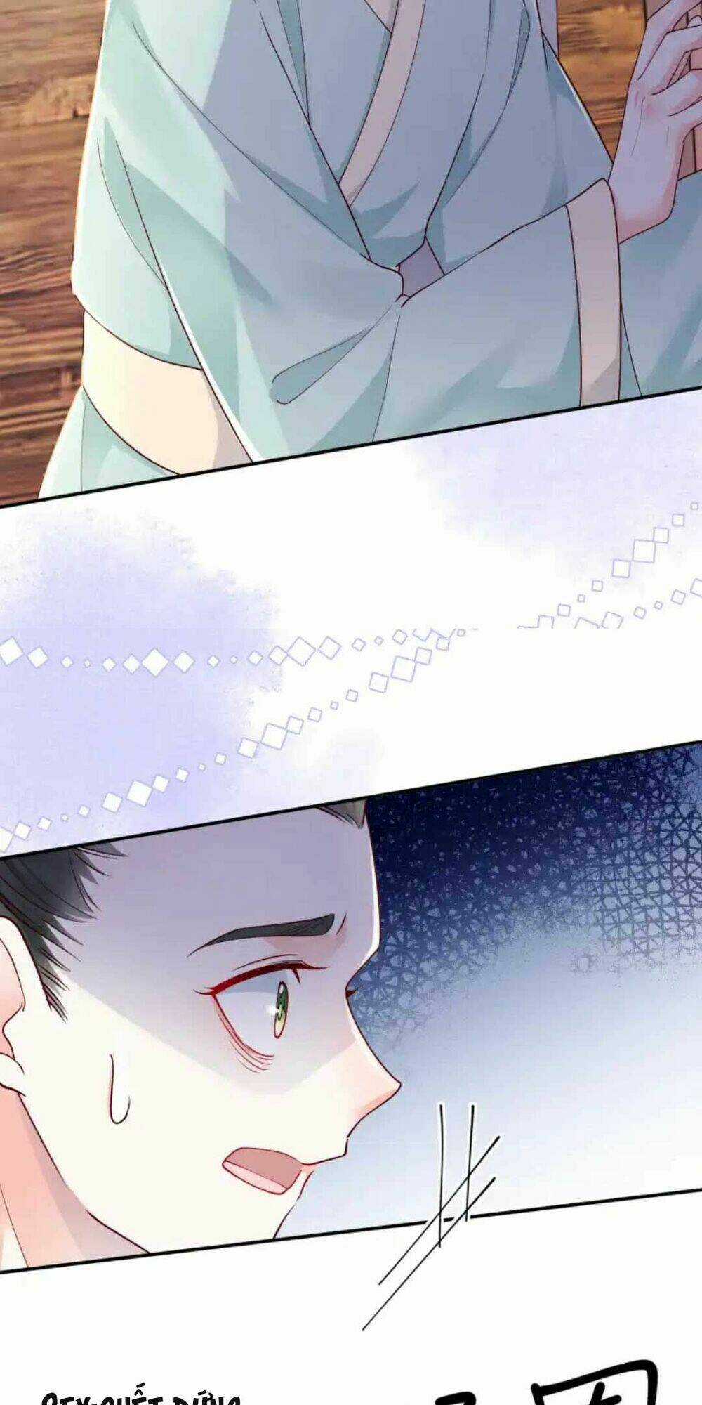 Phú Bà Xuyên Không : Thế Tử Không Dễ Lừa Gạt Chapter 17 trang 11