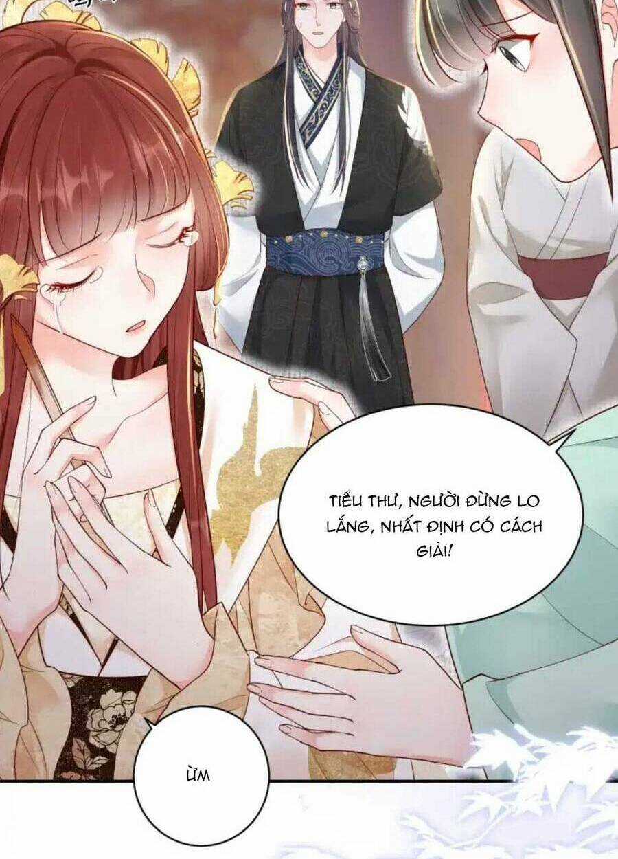 Phú Bà Xuyên Không : Thế Tử Không Dễ Lừa Gạt Chapter 20 trang 13