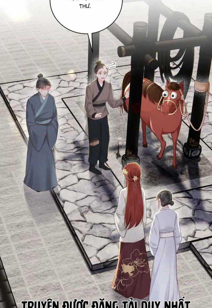 Phú Bà Xuyên Không : Thế Tử Không Dễ Lừa Gạt Chapter 24 trang 48